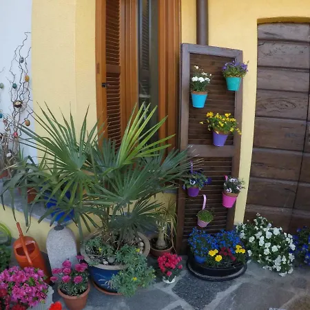 My Little Italian Dream Orino